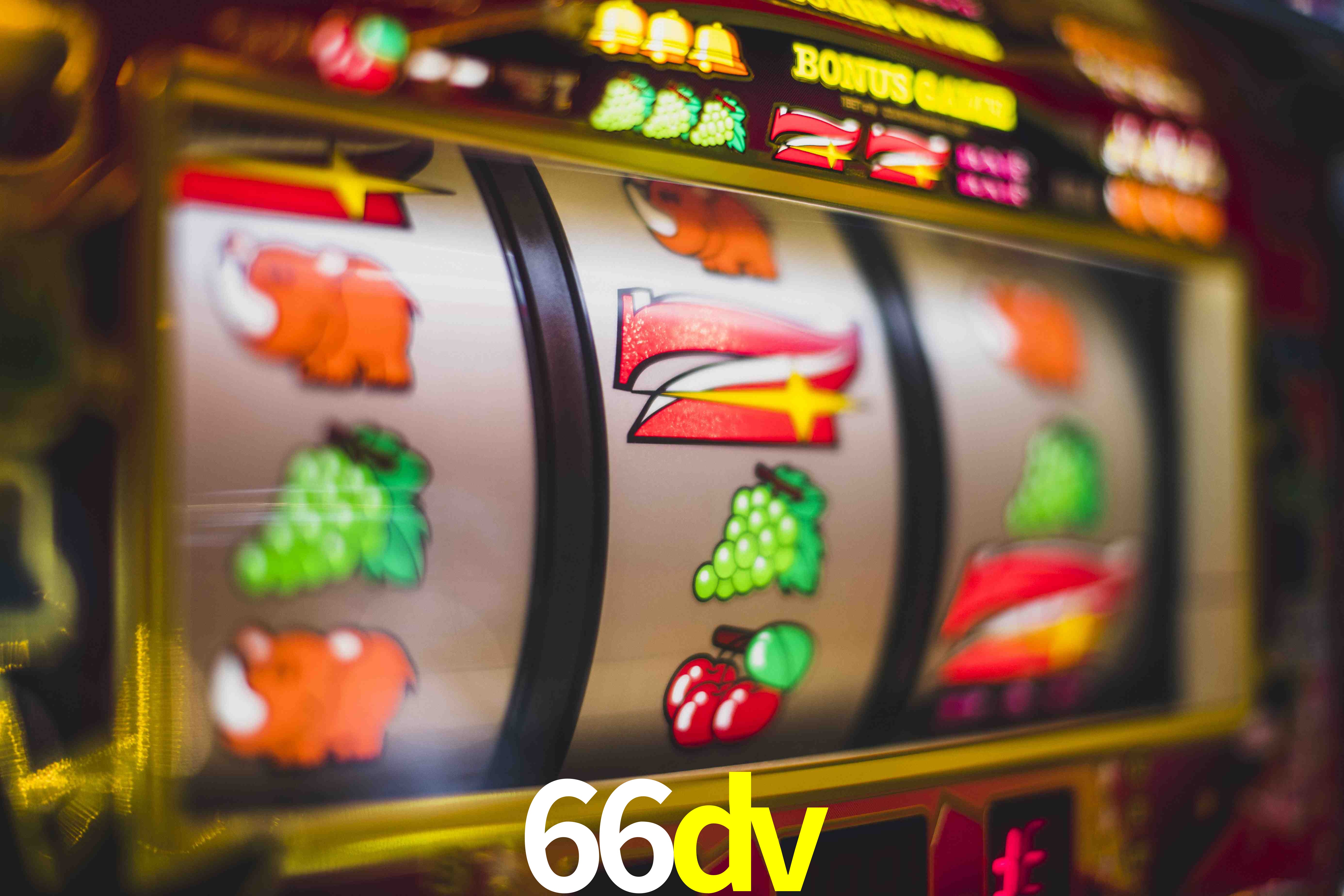 Sports Statistics 66dv